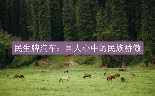 民生牌汽车：国人心中的民族骄傲